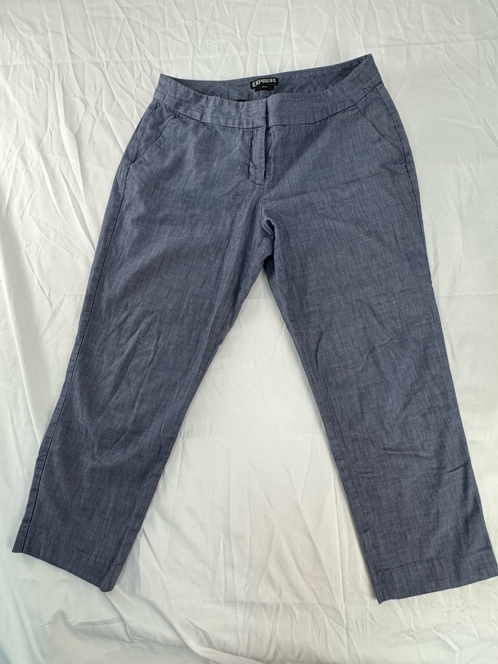Express MenSlim Crop Chinos in Blue-Gray